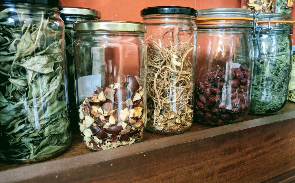 Bocaux de plantes médicinales séchées pour ateliers d’herboristerie – Marine Baudet, MB Herbaliste près de Toulouse.