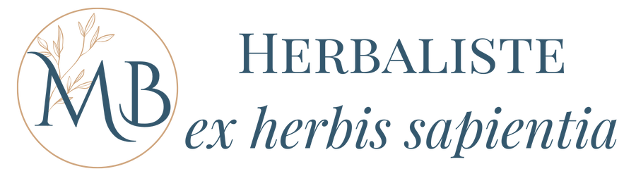 logo monogramme herbaliste ex herbis sapientia marine baudet